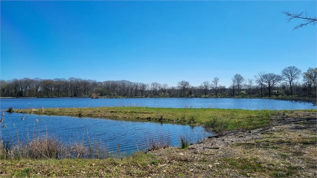 Randonnée - Servas et les étangs de la Carronnière_Servas - scalland