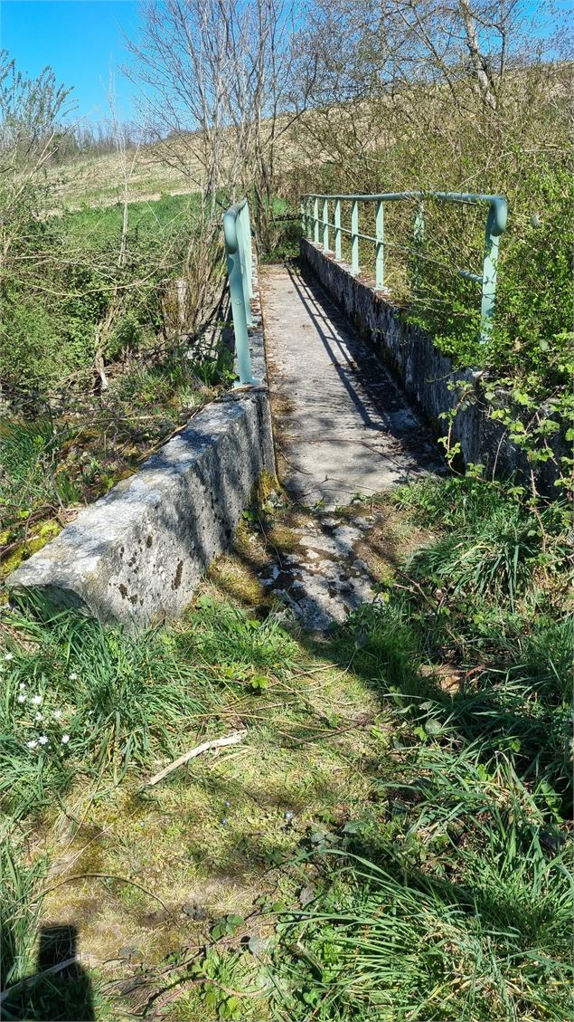 Balade  - Domaine de Cuiset et le Vieux Jonc_Saint-André-sur-Vieux-Jonc - scalland