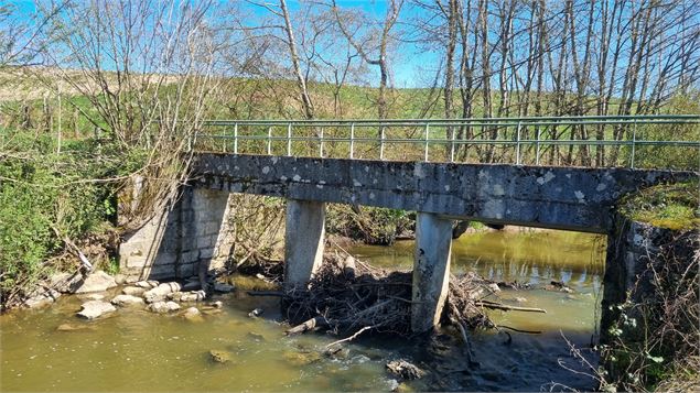 Balade  - Domaine de Cuiset et le Vieux Jonc_Saint-André-sur-Vieux-Jonc - scalland