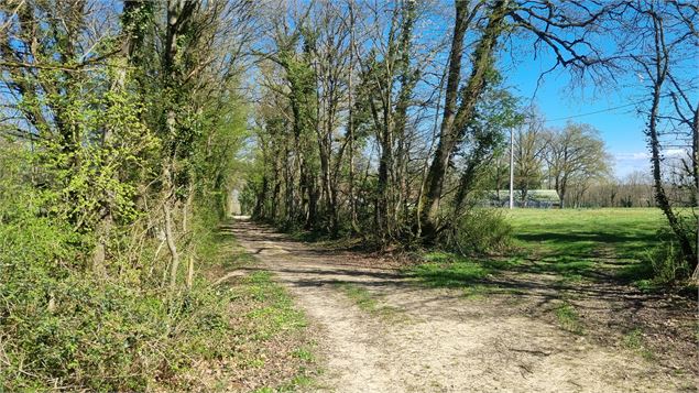 Balade  - Domaine de Cuiset et le Vieux Jonc_Saint-André-sur-Vieux-Jonc - scalland