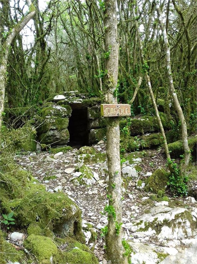 Rocher du Jarbonnet - Prairie de la rivière d'Ain_Cize - Pierre Jayet