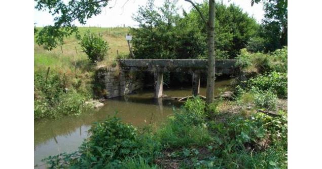 A la découverte de la Bachasse