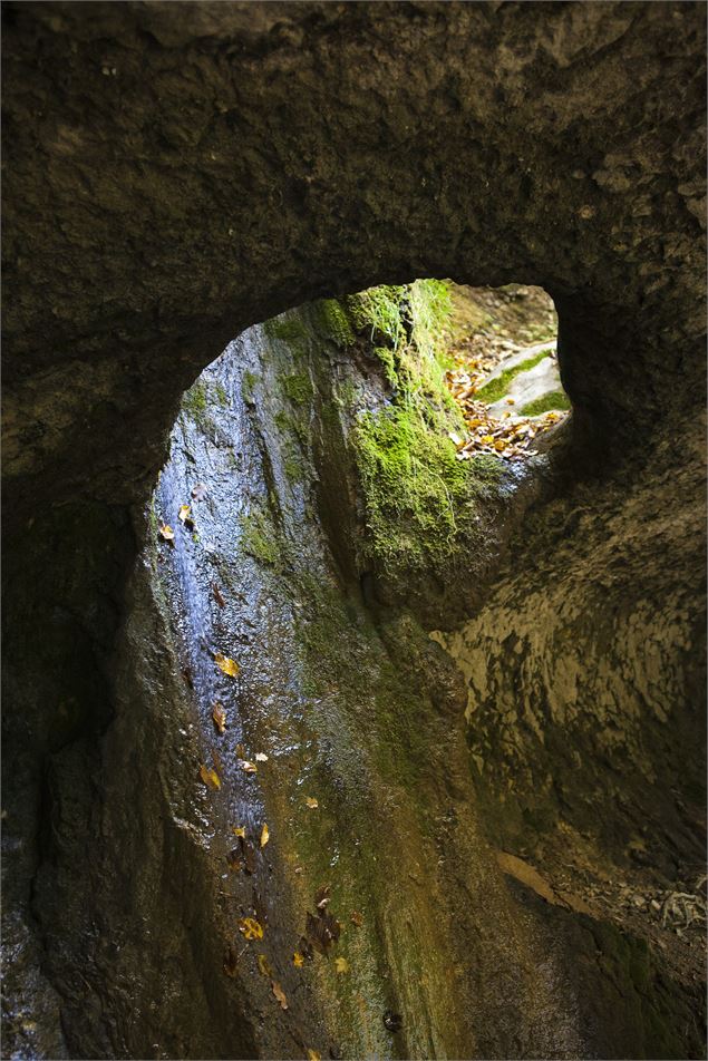 Site de la Pierre Percée_Champfromier - Site de la Pierre percée © Daniel Gillet