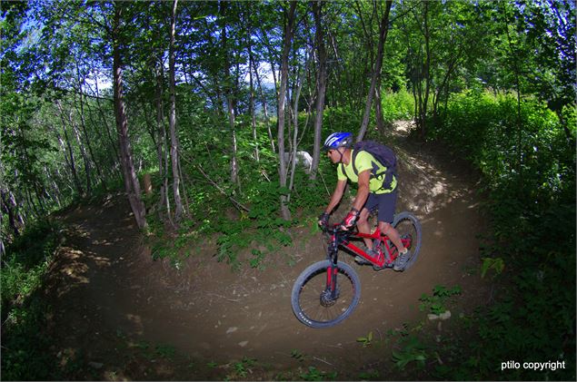 Green Show - ptilo copyright