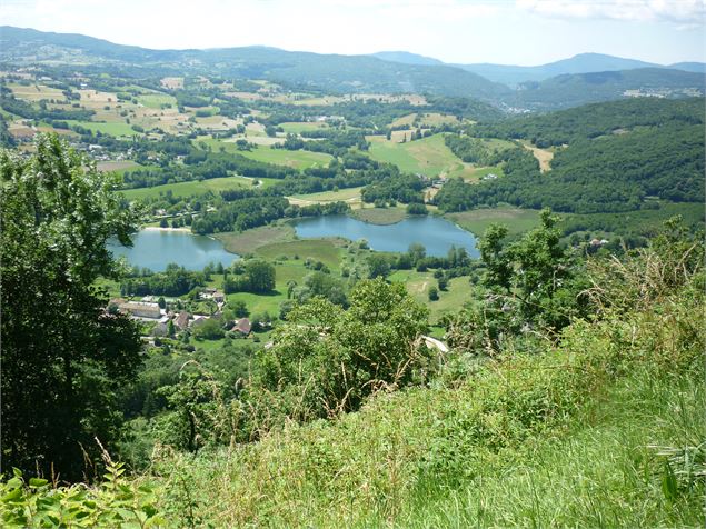 Lacs et marais de Chevelu - Nadine Chevelard