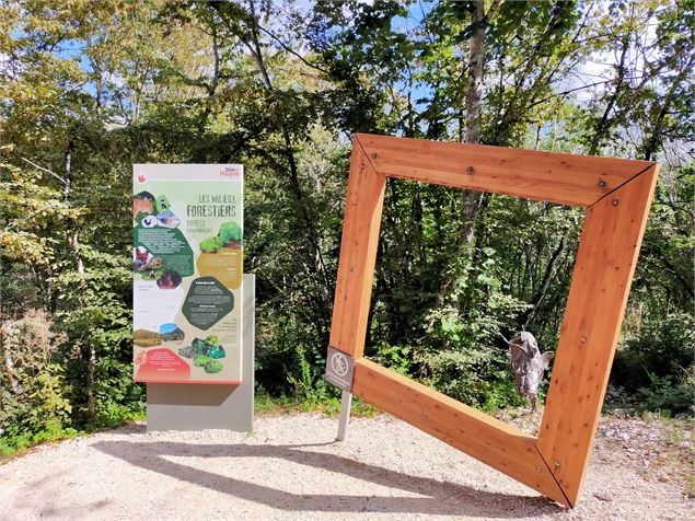 Sentier d'interprétation à Dinoplagne - Dinoplagne®