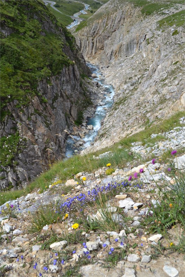 Vallon de Prariond - K.Mandray