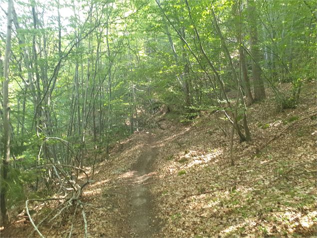 Sentier de la Corbassière