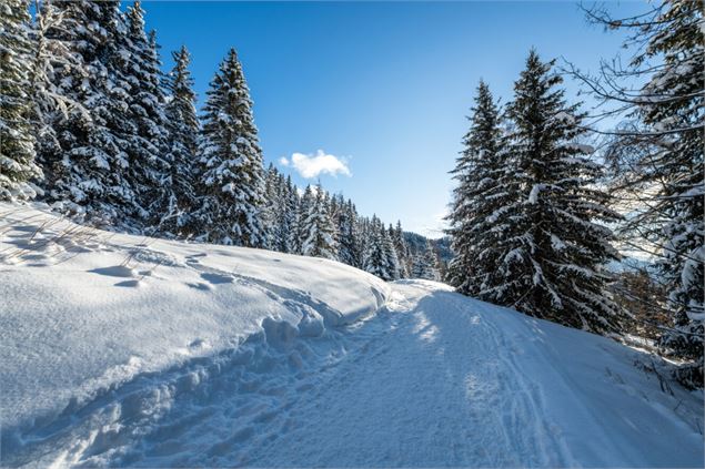 Chemin - Juliette Rebour