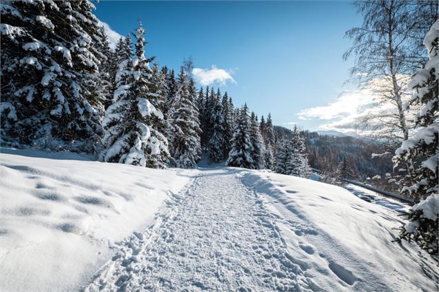 Chemin - Juliette Rebour