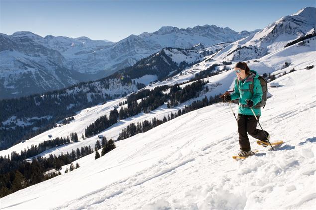 18b. Foilleuse - Savolaire - Morgins - litescapemedia