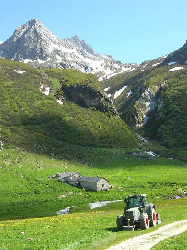 Alpage de Ritort 2 - K.Mandray