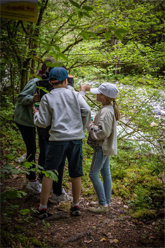 Ecomusée du Bois et de la Forêt - Cédric Chovet