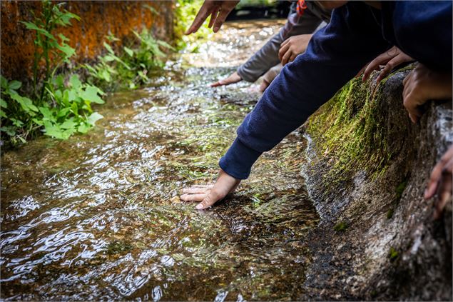 Ecomusée du Bois et de la Forêt - Cédric Chovet