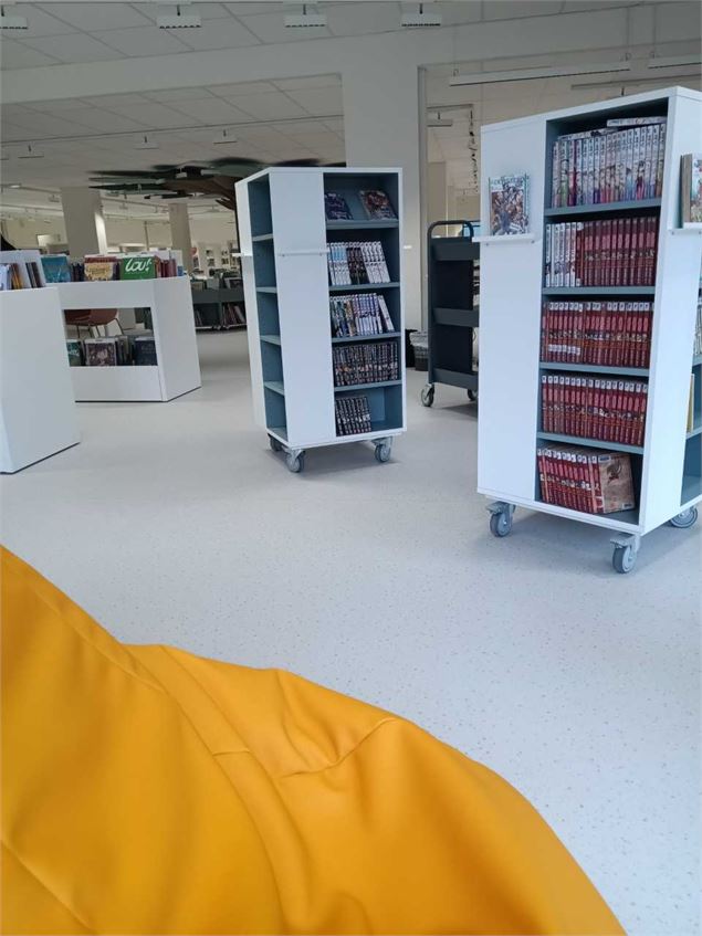 Médiathèque Ugine_Ugine