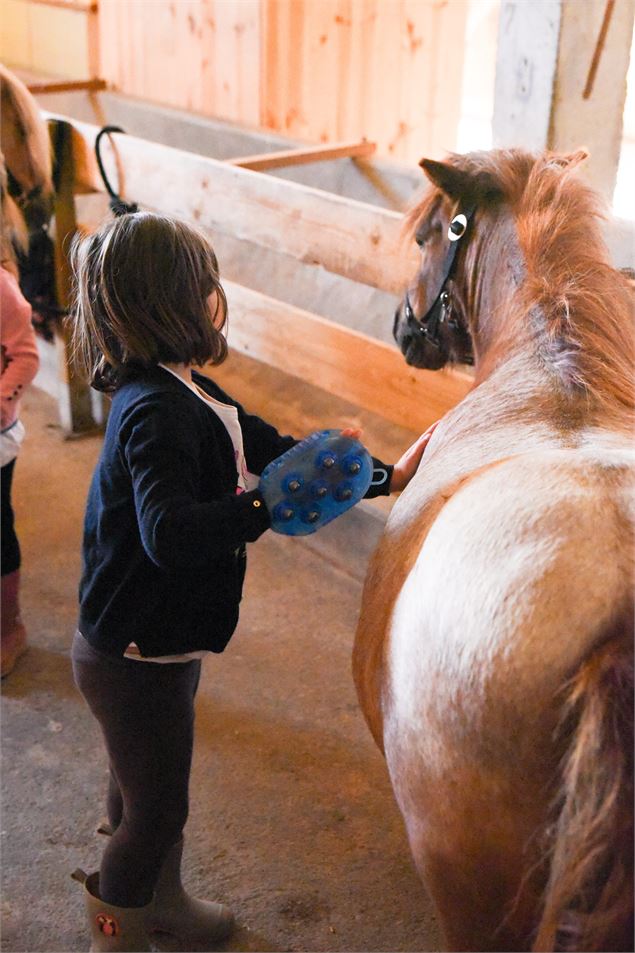 Pansage - Un Instant de bonheur | Marina Martinez Photographie