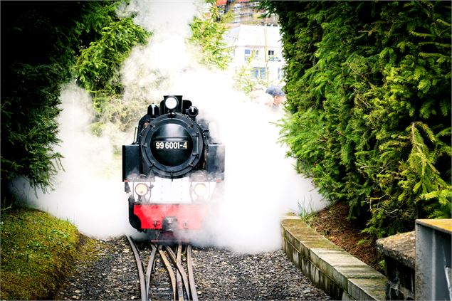Swiss Vapeur Parc_Le Bouveret - Leman sans Frontiere