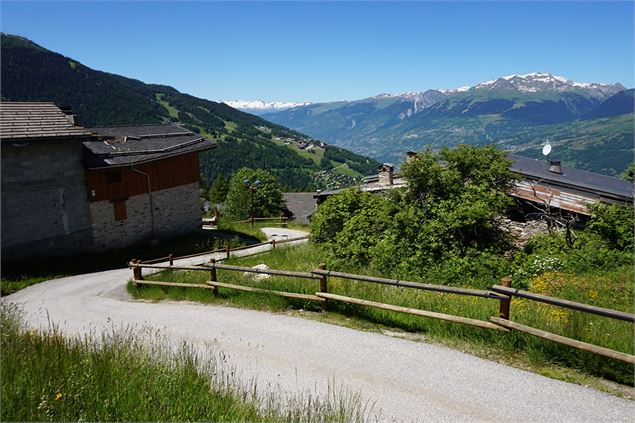 Chemin d'accès près de la Bergerie de Raphael - M.Suret OT Peisey-Vallandry