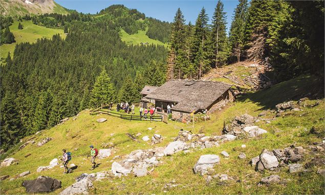 Chez Albert - Région Dents du Midi