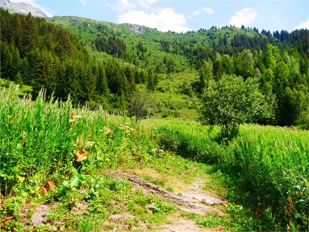 Le refuge du Plan des Gouilles par les Enclos du Seil - G. Kiener
