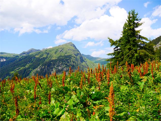Le refuge du Plan des Gouilles par les Enclos du Seil - G. Kiener