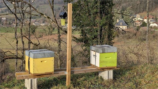 Ruchers - Rucher Communal