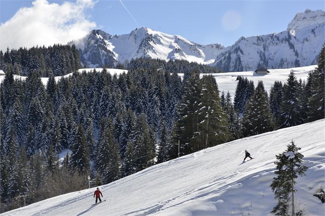 Glisse avec vue sur les sapins et les montagnes - Nicolas Blandin
