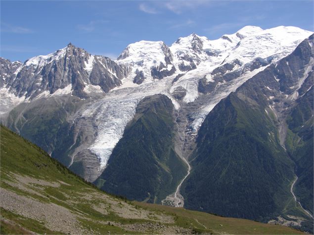 Réserve Naturelle Nationale de Carlaveyron - asters