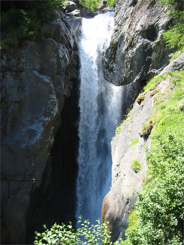 Réserve Naturelle Nationale du Vallon de Bérard - asters