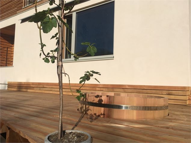  - Delphine Bastrenta