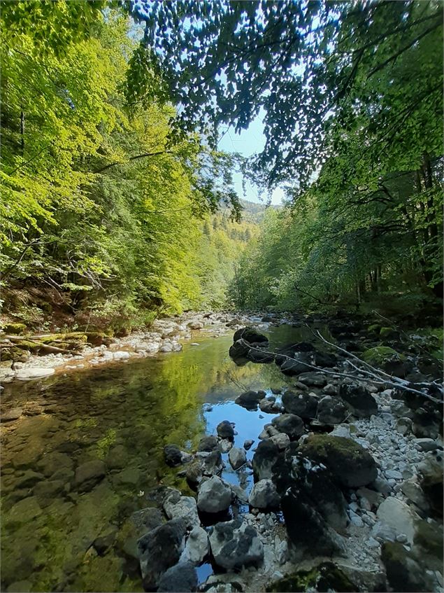 La Valserine - ©Annelegrand