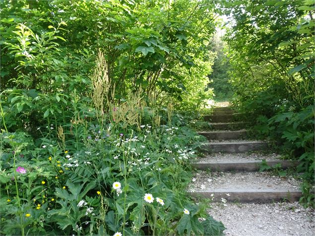 Petit sentier ludique - ©updrone