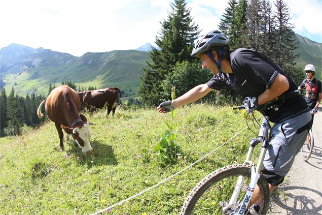Circuit VTT enduro : le Grand tour du Grand-Bo - © Aravis