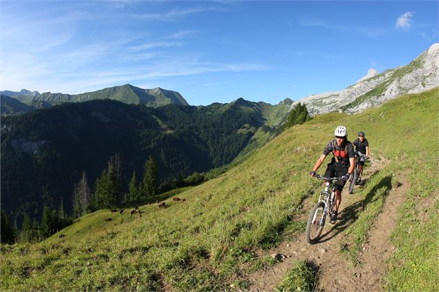 Circuit VTT enduro : le Grand tour du Grand-Bo - © Aravis