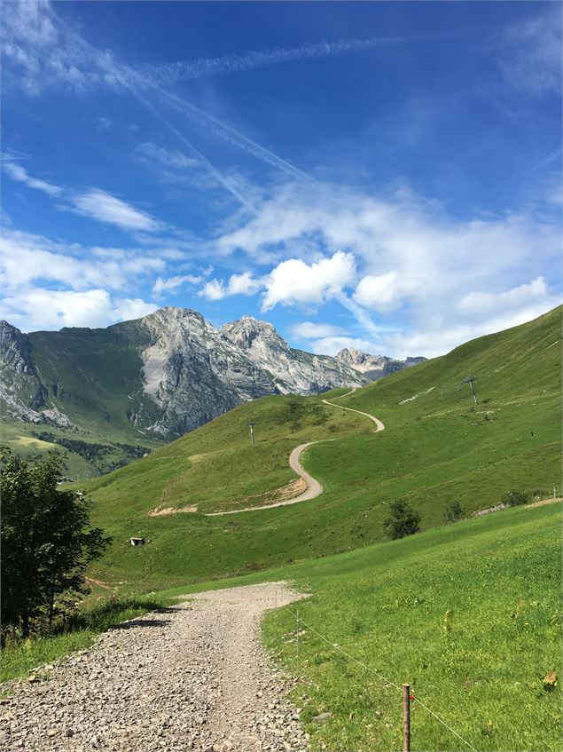 Le Tour du Lachat - Alpcat Medias
