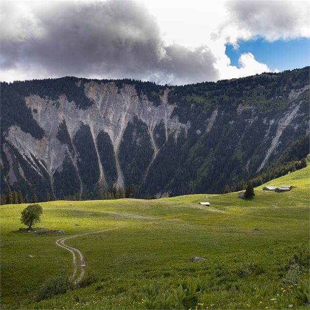 Pralin-Mugnier - David André