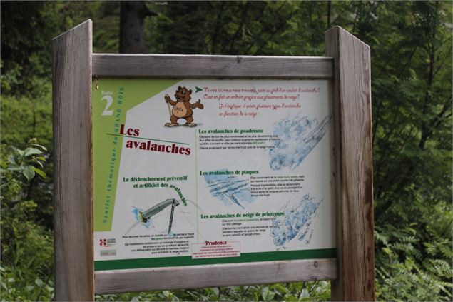 Sentier du grand bois 3 - Robin GARNIER