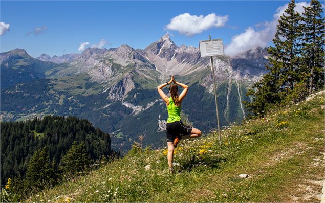 Le panneau de la posture de l'arbre face de la Pointe Percée - Monica Dalmasso