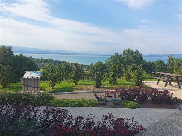 Départ boucles du coteau - Leman Mountains Explore