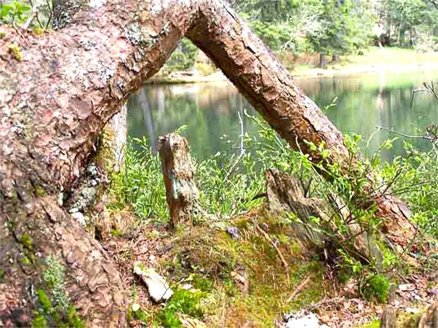 Lac de Petétoz - OT Alpes du Léman