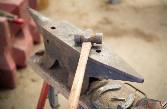 Equ'Ain - Grand Angle