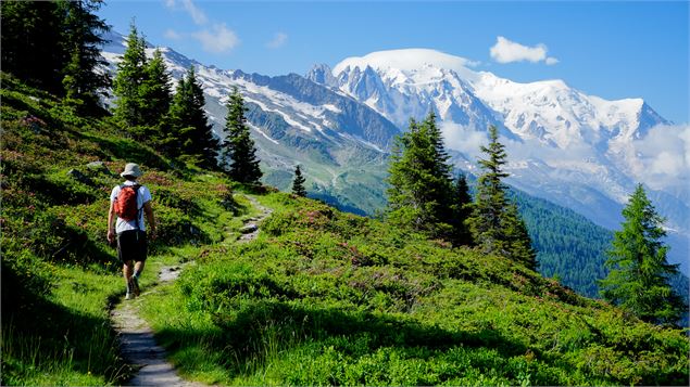 Randonnée du Péclerey_Argentière - OT Chamonix