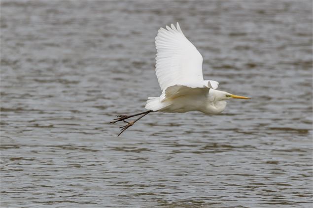 L'Escampette : la grande boucle_Trévoux - CCPA