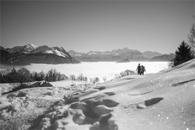 Vue sur le Mont-blanc - Théo Jafre