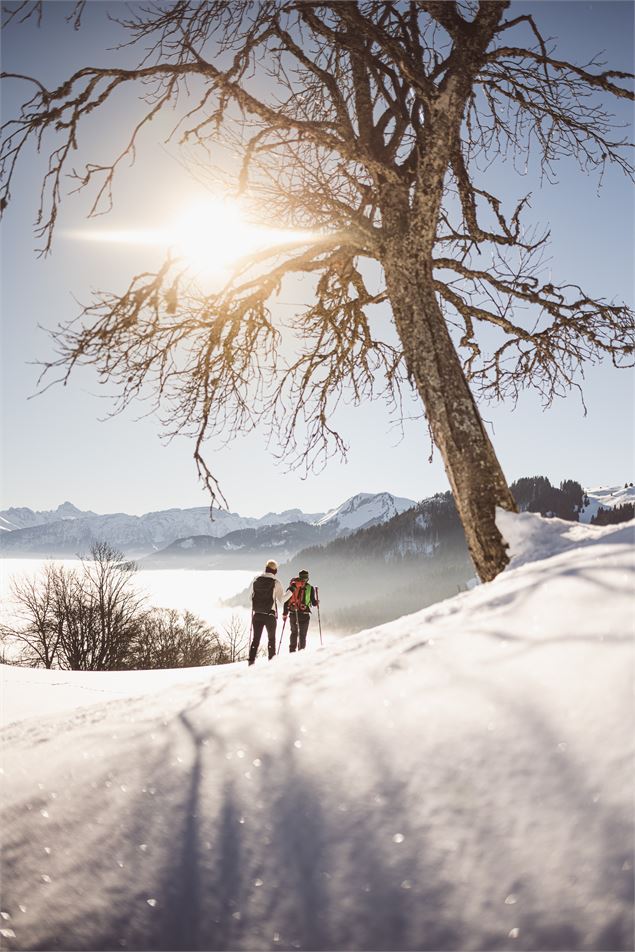 Sentier raquettes - la belle vue - Théo Jafre