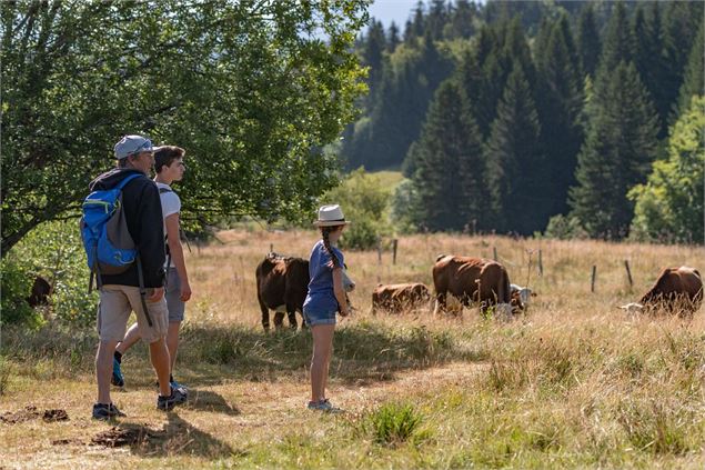 Creux de Lachat - GCAT