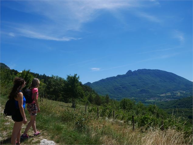 Sentier de la Charvaz - OT Yenne
