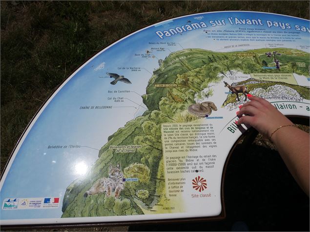 Sentier Sommet de la Charvaz - OT Yenne