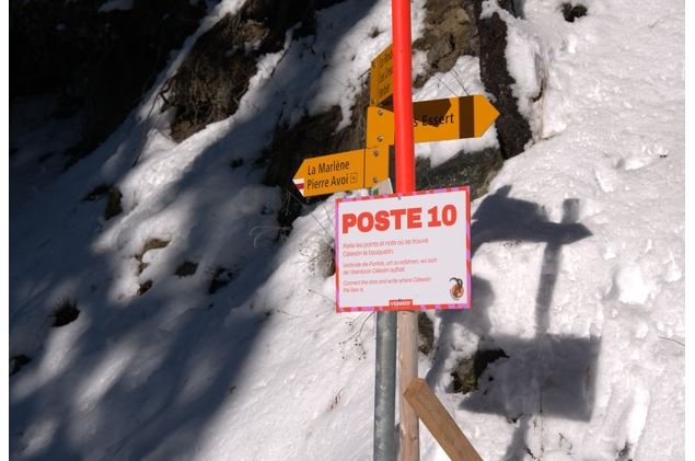 Célestin le Bouquetin - Les sports d'hiver dans le Val de Bagnes_Val de Bagnes