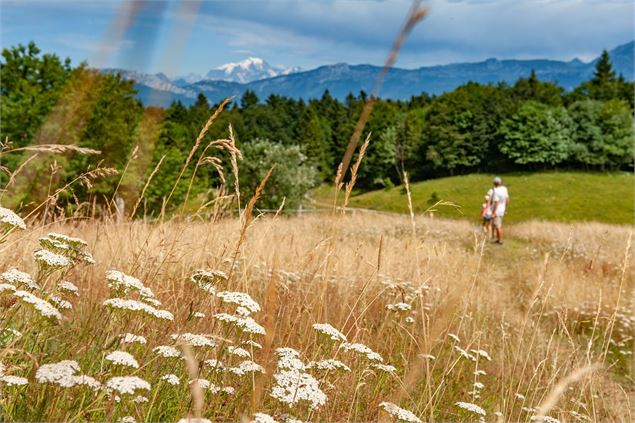 Creux de Lachat - GCAT